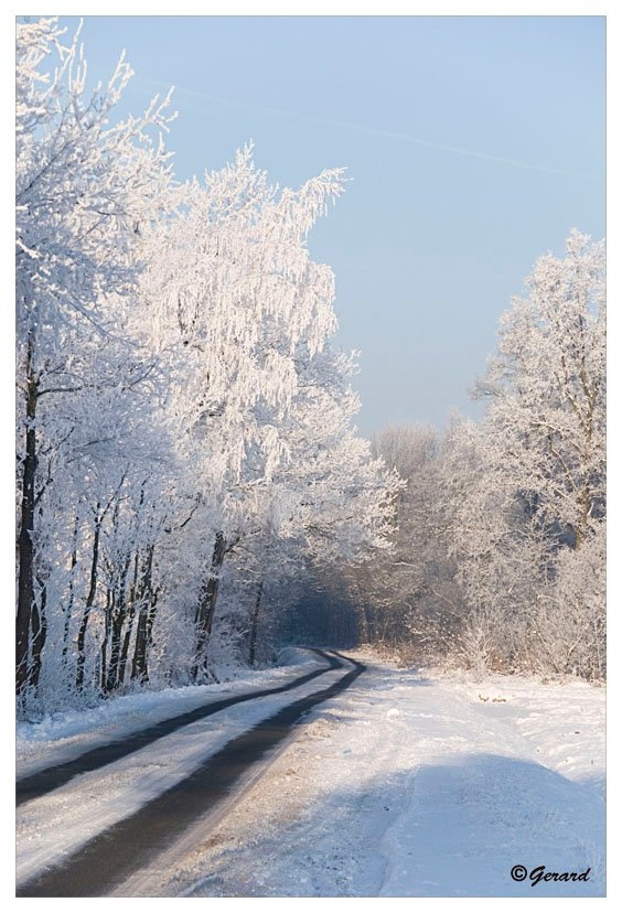 Sneeuwlandschap Verkensbos 3.jpg - Sneeuwlandschap Verkensbos